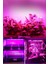 Alüminyum Kasalı Çubuk Bar LED 12V 72 Ledli 5730 Opak Cam Grow LED Full Spectrum Bitki Yetiştirme Ledi 2
