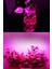 Alüminyum Kasalı Çubuk Bar LED 12V 72 Ledli 5730 Opak Cam Grow LED Full Spectrum Bitki Yetiştirme Ledi 4
