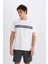 Regular Fit Bisiklet Yaka Pamuklu Kısa Kollu Tişört D7923AX25SP 3