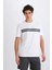 Regular Fit Bisiklet Yaka Pamuklu Kısa Kollu Tişört D7923AX25SP 4