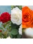 Videolu Kırmızı Beyaz ve Turuncu 3 Adet Kokulu Gül Fidanı 45-75 cm (Red White And Orange Rose) 1