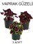 Özel Tür Yaprak Güzeli Çiçeği 3 Adet Saksıda Kolyos (Coleus) 1