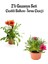 Kırmızı-Koyu Pembe Gazanya Çiçeği 2 Adet Saksılı 10-20 cm Balkon/teras Çiçeği 1