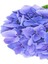 Videolu İthal Mavi Tivoli Ortanca Çiçeği Fidanı 25-45 cm Saksılı Çiçekli Bodur Blue Hydreangea 3
