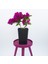 Saksıda Koyu Pembe Begonvil Fidanı Bougainvillea 1