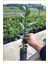 Videolu Defne Fidanı Bitkisi 1 Adet Tüplü 40-60 cm Dış Mekan Bitkisi (Laurus Nobilis) 3