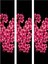 Videolu 3 Adet Pembe Ispirya Çiçeği Fidanı 40-60 cm Saksılı Çiçekli Bodur Spiraea Vanhouttei 1