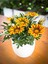 Sarı Renk Gazanya Çiçeği 1 Adet Saksılı/Tüplü(15-25 cm) Çiçekli Balon Bitkisi 1