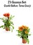 Kırmızı-Turuncu Sarı Gazanya Çiçeği 2 Adet Saksılı 10-20 cm Balkon/teras Çiçeği 1