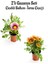 Pembe Beyaz-Turuncu Sarı Gazanya Çiçeği 2 Adet SAKSILI(10-20 cm) Bahçe Balkon Çiçeği 1