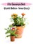 Pembe Beyaz-Sarı-Kırmızı Renk Gazanya Çiçeği 3 Adet Saksılı 10-20 cm Balkon Çiçeği 1