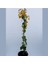 Sarı Begonvil 90 100 cm Bougainvillea 2