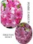Pembe Zakkum Fidanı 1 Adet Saksılı 30-60 cm- Erguvan Ağacı 1 Adet 40-70 cm 1