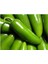 İthal Jalapeno Kırmızı Acı Meksika Biberi Tohumu 5 Adet Tohum 3
