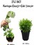 Beyaz Kartopu Çiçeği(VIBURNUM)40-60 cm +Çalı Şimşiri 2'li Set Saksılı Bahçe Bitkisi 1