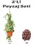 2'li Peyzaj Seti Hedera Helix Sarmaşığı + Curf 1