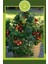 Bodur Cherry Domates Tohumu (30 Adet) 1
