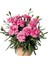Videolu Kokulu Pembe Renk Karanfil Çiçeği Fidanı 15-30 cm Tüplü Dış Mekan Ağaçlar Pink Carnation 1