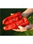Tatlı Iri Marconi Biber Tohumu 15 Adet Tohum 3