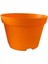 Katı Plastik Sukulent Saksısı 20 Adet Turuncu (8.5 cm) 1