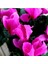Saksılı Büyük Boy Pembe Siklamen Çiçeği 30 cm Hediyelik Çiçek 2