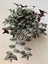 Videolu Alacalı Telgraf Çiçeği 1 Adet Saksılı/ TÜPLÜ 15 - 30 cm Ofis Ev Bitkisi (Tradescantia Zebrina) 3