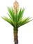 Videolu Avize Yukka Çiçeği 1 Adet Saksılı 80-100 cm İç Mekan Ev Ofis Bitkisi (Yucca) 3