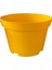 Katı Plastik Sukulent Saksısı 10 Adet Sarı (8.5 cm) 3