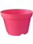 Katı Plastik Sukulent Saksısı 10 Adet Pembe (8.5 cm) 1