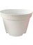 Katı Plastik Sukulent Saksısı 5 Adet Beyaz (8.5 cm) 3