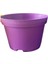 Katı Plastik Sukulent Saksısı 15 Adet Koyu Mor (8.5 cm) 3