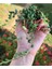 Videolu Boncuk Yapılı Tesbih Çiçeği 1 Adet Saksılı/Tüplü 5-15 cm İç Mekan Bitkisi(Senecio Rowleyanus) 3