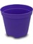 Katı Plastik Sukulent Saksısı 10 Adet Koyu Mor (5.5 cm) 2