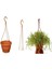 Katı Plastik Makrome Askılı Saksı 5 Adet Kahverengi 16 cm 2