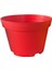Katı Plastik Sukulent Saksısı 5 Adet Kırmızı (8.5 cm) 3