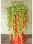 Dekoratif Tespih Çiçeği 1 Adet 20-30 cm Salon Teras Çiçeği 1