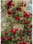 Kırmızı Sarmaşık Gül Fidanı Saksılı Tüplü 60-80 cm 3