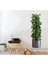 Yapışkanlı Sticker Ev Dekorasyonu Duvar Balkon Salon Bitki Tasarımlı Çıkartma 90 x 30 cm 2