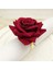 12 Adet/grup Romantik Gül Peçete Halkaları Alaşım Peçete Toka Tutucu Düğün Resepsiyonları Hediyeler Için Tatil Ziyafet Dekorasyon (Yurt Dışından) 4