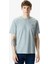 Mapleton Ss Erkek Gri T-Shirt DK0A4XDBGYM1 1