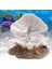 Resim Stili Olarak Kabuk Inci Balon Dekor Akvaryum Süsü Yapay Mercan Hava Balonu Yapıcı Balık Tankı Süsü Aquarium Süsler (Yurt Dışından) 3