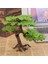 No.8 Stili Akvaryum Bonsai Ağacı Taş Bahçesi Yapay Bitki Çam Ağacı Balık Tankı Süsü (Yurt Dışından) 4