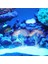 Yeşil Stil 1 Parça Yapay Parlayan Mercan Balığı Tankı Akvaryum Mercan Bitkileri Su Altı Süsü Fish Tank Su Manzara Dekor Aksesuarları (Yurt Dışından) 2
