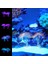 Yeşil Stil 1 Parça Yapay Parlayan Mercan Balığı Tankı Akvaryum Mercan Bitkileri Su Altı Süsü Fish Tank Su Manzara Dekor Aksesuarları (Yurt Dışından) 4
