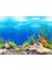 M Tarzı 30X30CM Akvaryum 3D Sticker Poster Balık Tankı Akvaryum Arka Plan Aksesuar Dekorasyon Okyanus Bitki Aquascape Tablo (Yurt Dışından) 3