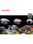 Küçük Stil Resim Olarak Akvaryum Cichlid Tank Taş Mağara Gerçekçi Yapay Granit Kaya Küçük Frimp Gizlenme Dekorasyon Süs Eşya Aksesuarları (Yurt Dışından) 3