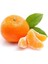 Mandalina Fidanı Citrus Aurantium L W Murcott 60 80 cm Saksıda 2