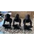 3'lü Set Meditasyon Modern Biblo Masa Üstü Biblo, Görmedim Duymadım Bilmiyorum Hean Speak See 5