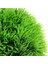 Kırmızı Stil 6cm Yükseklik Yapay Su Bitkileri Akvaryum Çim Topu Balık Tankı Süs Eşyası Süs Yosun Balığı Için Akvaryum Dekoratif Chlorella Prospects Grass (Yurt Dışından) 4