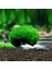 Moss Balls Seaweed Canlı Akvaryum Bitkisi Algler Frimp Tank Süsü (Yurt Dışından) 2